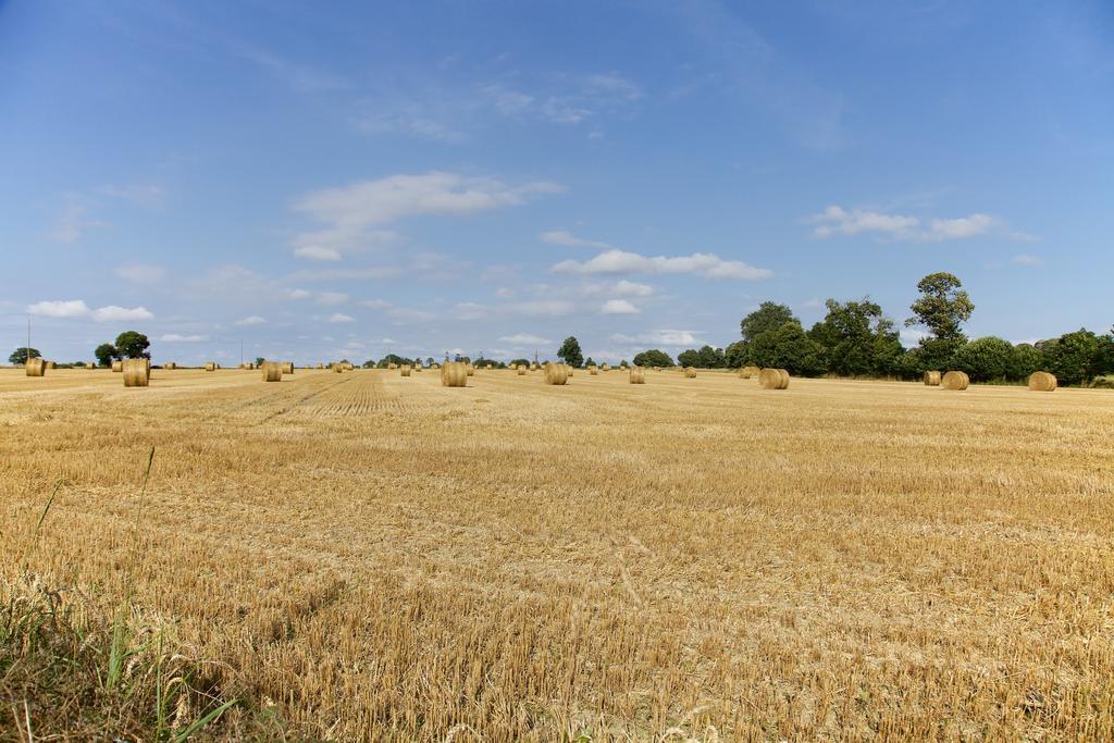 La Petite Chesnee Διαμέρισμα Sacey Εξωτερικό φωτογραφία