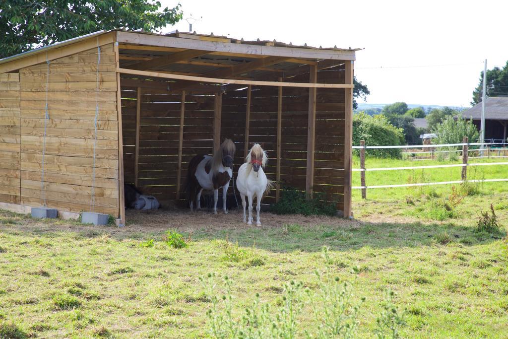 La Petite Chesnee Διαμέρισμα Sacey Εξωτερικό φωτογραφία