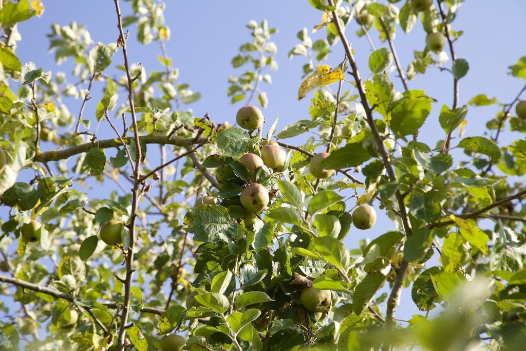 La Petite Chesnee Διαμέρισμα Sacey Εξωτερικό φωτογραφία